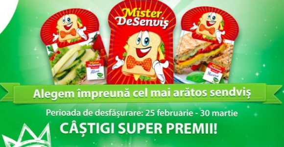 Concurs cu super-premii! Se alege Mr.DeSenvis!